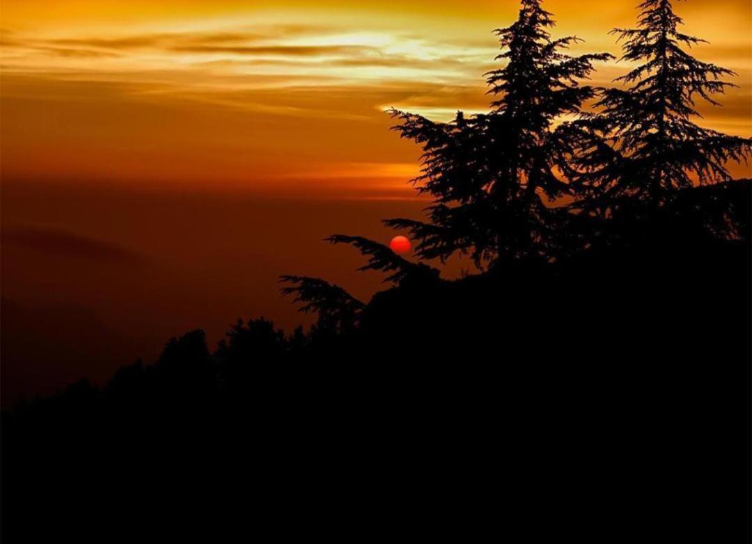 The Heritage Home Kasauli I Pine View Serviced Villa I Best Seller I Vacations I Family Events I Sky Bonfire I Kasauli By Exotic Stays Exterior photo